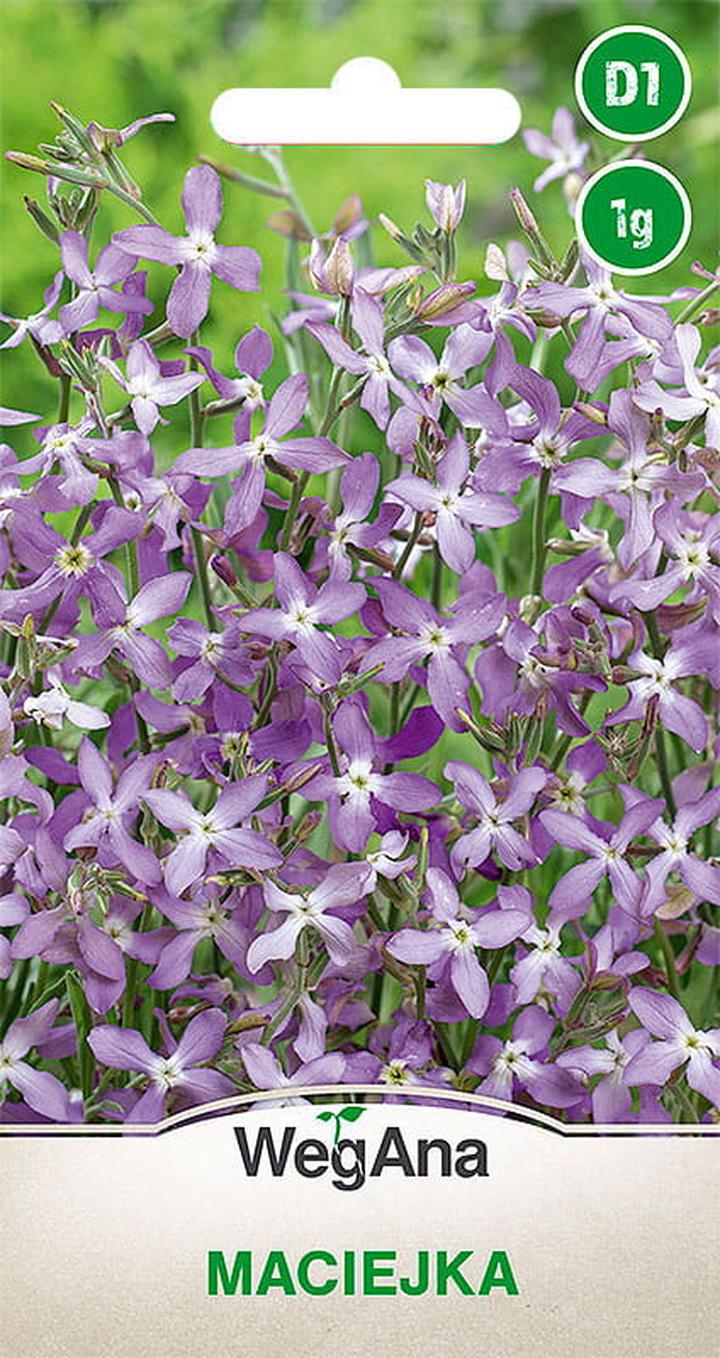 Zakupy online vs sklep stacjonarny