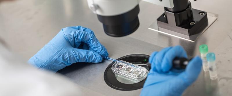 Koszty i lokalizacje: gdzie wykonać badania na płodność mężczyzn?